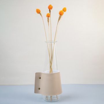 Bright orange dried flower stem styled in a warm modern room adding a bold natural accent to contemporary home decor.