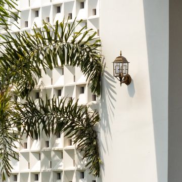 Outdoor lantern wall light mounted on a white modern wall with greenery enhancing exterior home decor with a warm glow.