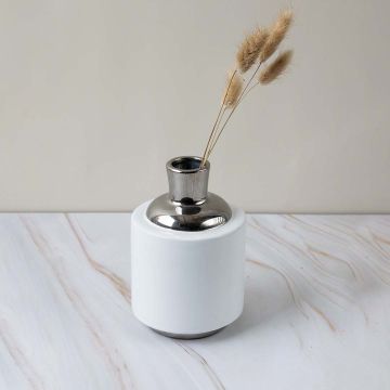 Elegant modern ceramic vase with silver neck displayed with dried stems adding charm to living space decor.
