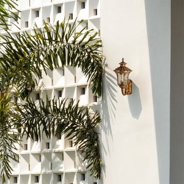 A classic gold outdoor wall lantern mounted on a bright exterior wall creating a warm and elegant outdoor ambiance with surrounding green foliage.