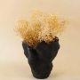 Golden dried flower bunch styled in a cozy modern space bringing warm natural texture to home decor.
