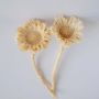 Closeup of beige dried wooden flower head with carved detailing creating a natural accent for warm rustic decor.
