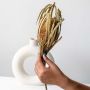 Single dried banksia flower stem with textured bloom and foliage displayed against plain white background home decor.