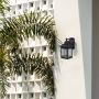 Outdoor lantern wall light enhancing modern exterior wall with decorative palm shadows.