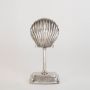 Textured seashell sculpture with metallic base shown in styled interior space without white background for ambiance