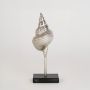 Silver metal conch sculpture displayed on a clean white background highlighting its detailed textured design for modern home decor settings.