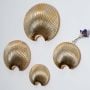 Edan Wall Vase Grouped