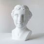 Centwin Face Decor White Background