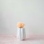 Decorative white ceramic vase styled with pastel dried flowers ideal for enhancing aesthetic appeal in modern interiors.