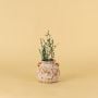 Turkish Terracotta Vase Round Shape Lifestyle 2