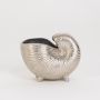 Silver nautilus shell decorative bowl displayed on a plain white background with a smooth textured metallic design