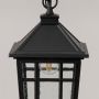 Close up view of black outdoor pendant lantern showing metal frame grid pattern clear glass panels and vintage bulb.