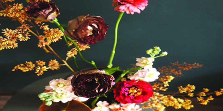 Bali Lights Collection