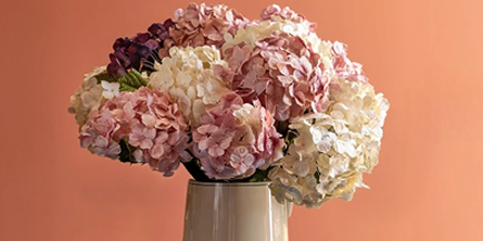 Bali Lights Collection